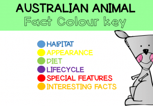 Australian Animal facts