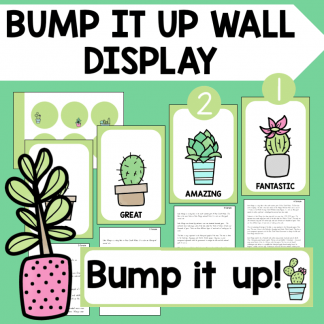 cactus bump it up wall display