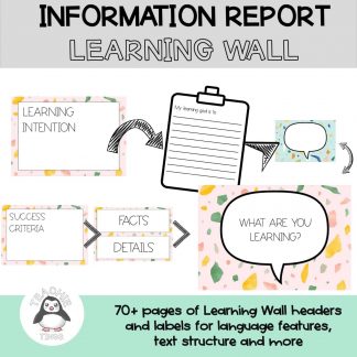 Information Report Learning Wall year 3