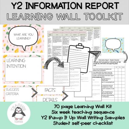 Informtaion Report Learning Wall - year 2