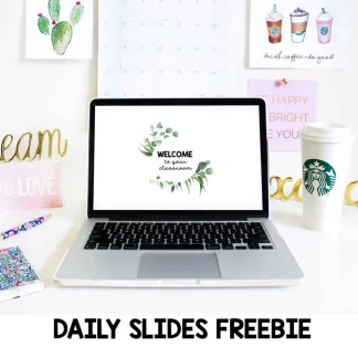 Daily Slides - Gum Leaf