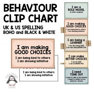 Positive Behaviour Clip Chart - BOHO theme