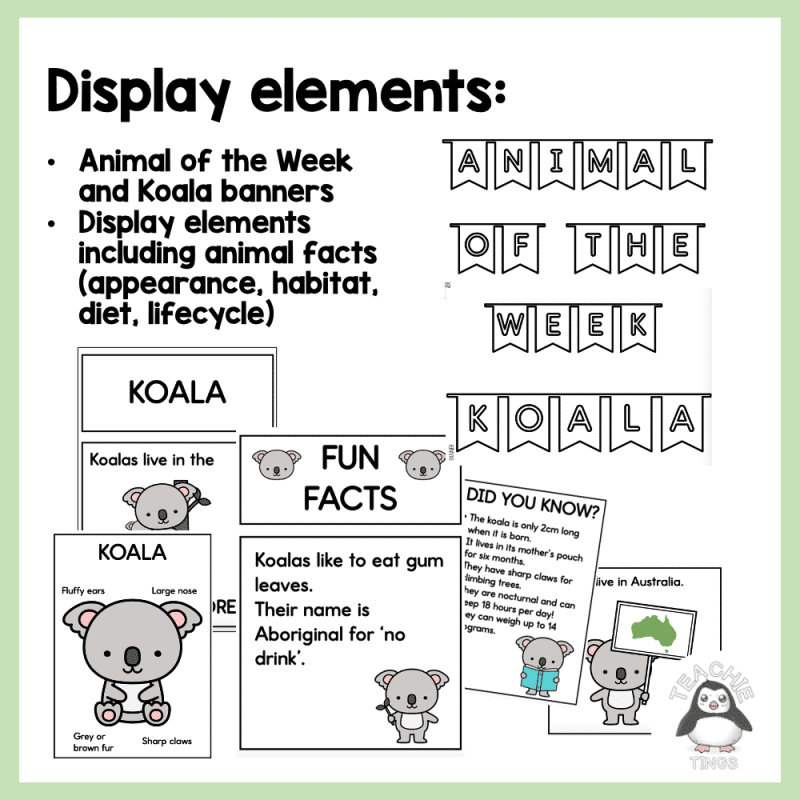 Animal of the Week - KOALA - Image 3