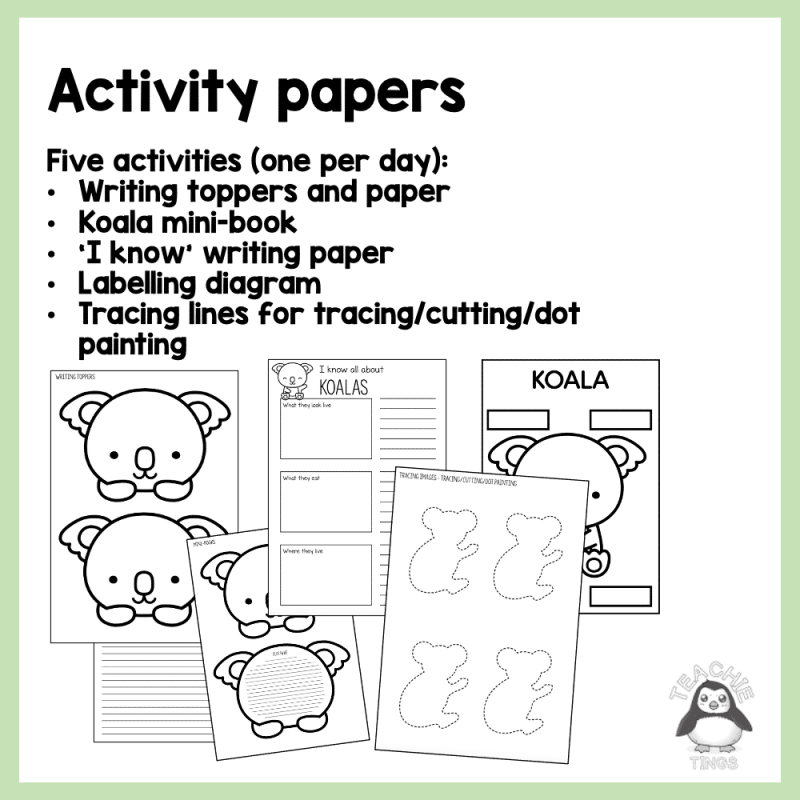 Animal of the Week - KOALA - Image 4