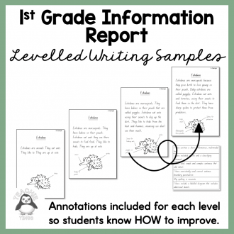 year 1 information report
