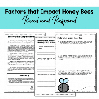 Year 6 Science - Factors that Impact Honey Bees | Read and Respond
