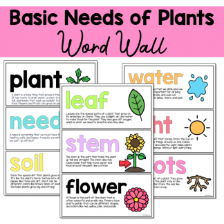 Basic Needs of Plants Word Wall Cards