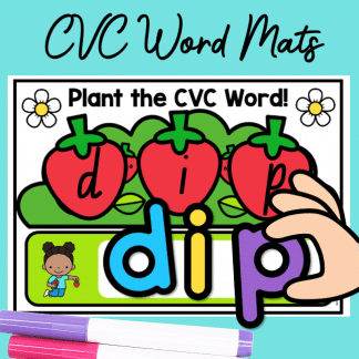 CVC Word Mats - Strawberry Theme