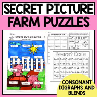 secret picture puzzles