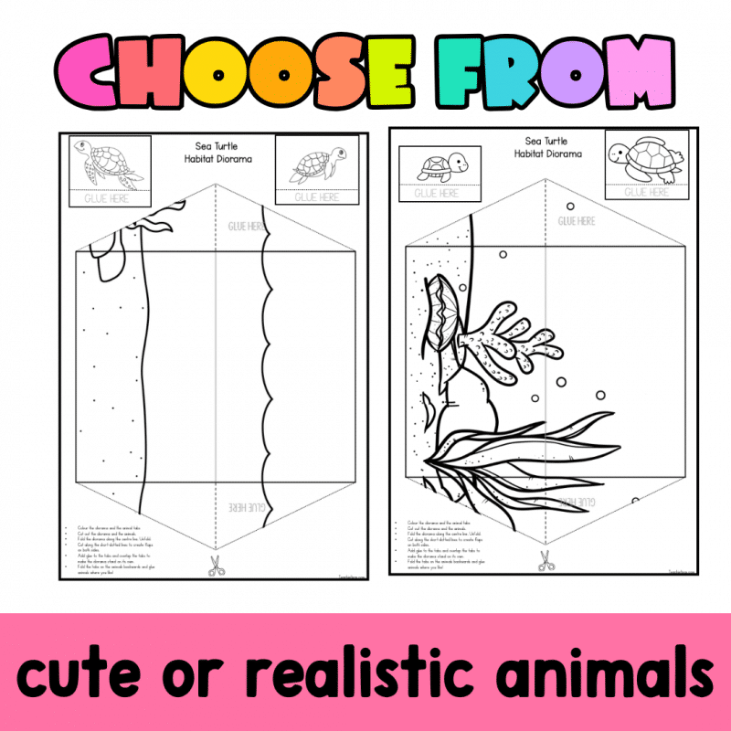 Sea Turtle Habitat Diorama | Printable Australian Animal Craft Activity - Image 2