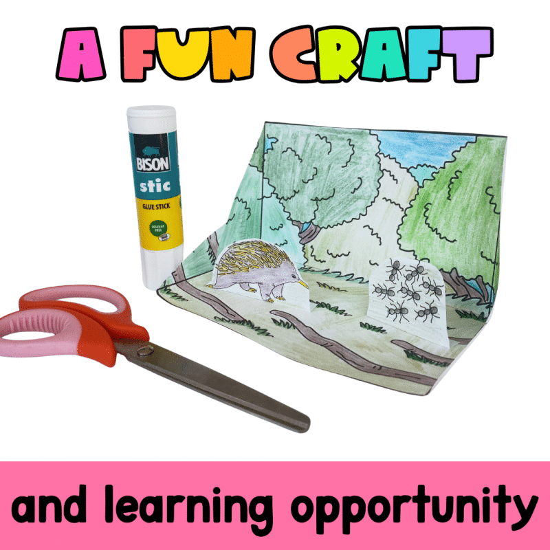 Echidna Habitat Diorama | Printable Australian Animal Craft Activity - Image 3