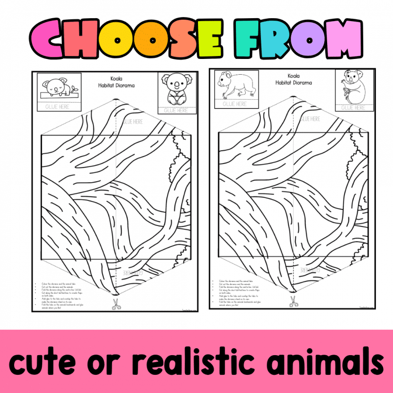 Koala Habitat Diorama | Printable Australian Animal Craft Activity - Image 3