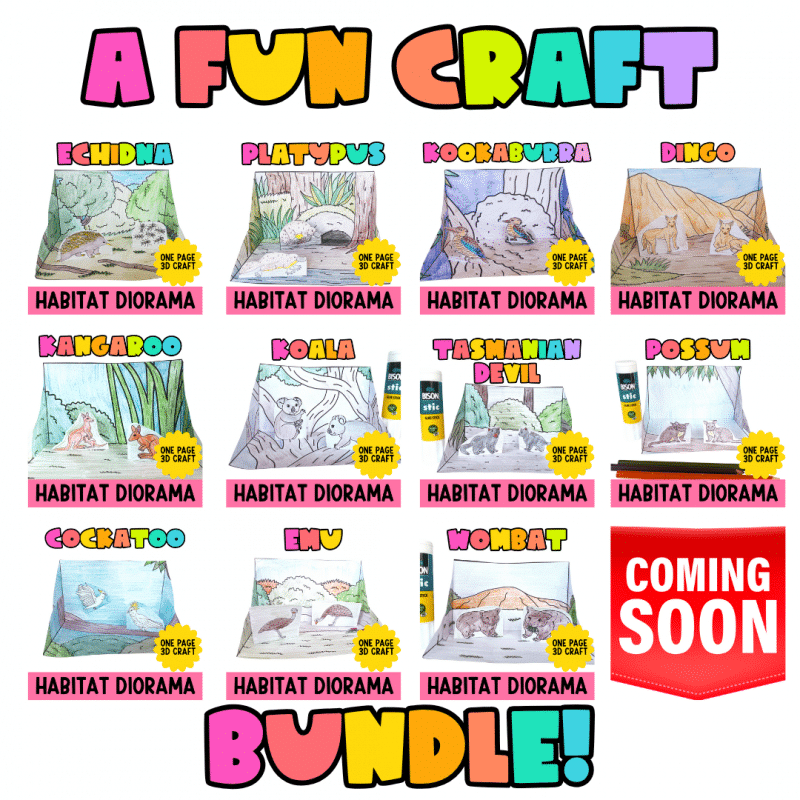 Australian Animal Habitat Diorama Bundle - Image 2