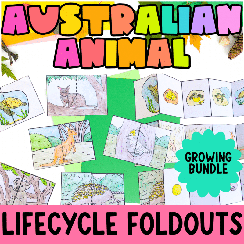 Australian Animal Lifecycle Craft Activities Growing Bundle Science Crafts