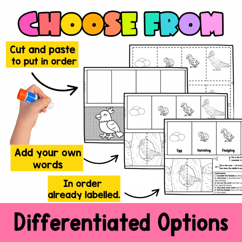 Cockatoo Life Cycle Craft Activity for Elementary Science Students - Image 2