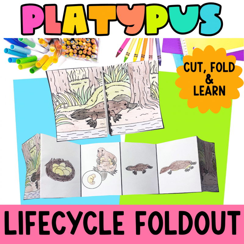 platypus lifecycle craft