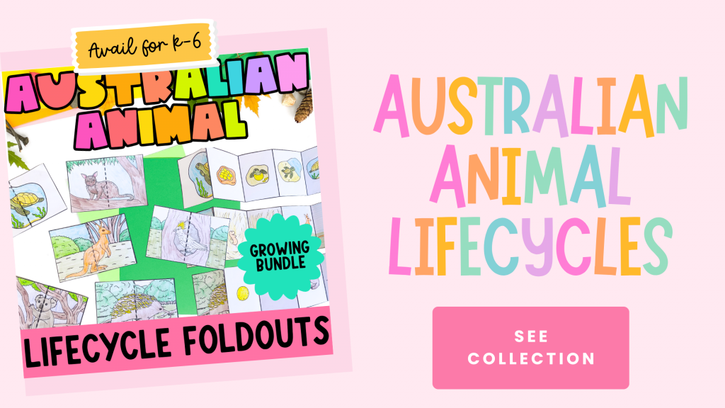 Australian animal lifecycle